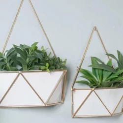 Wall Planters